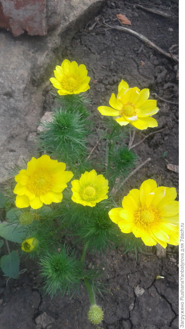 Спасибо всем за хорошие вопросы!