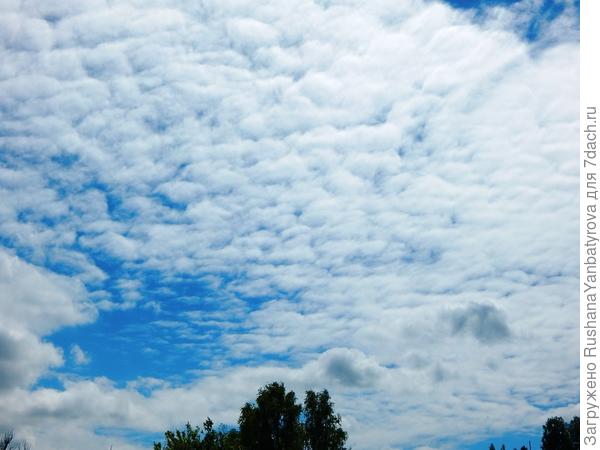 Облачная вата.