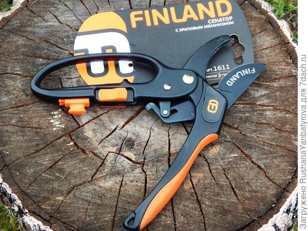 Вот он, мой новый помощник!