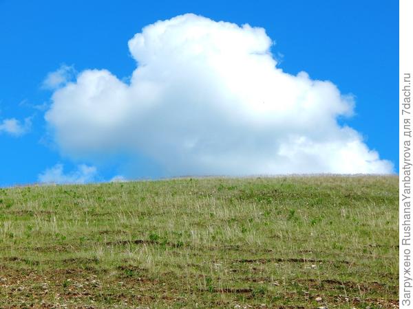 Фосфорецирует.