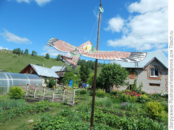 Наш нынешний сторож.