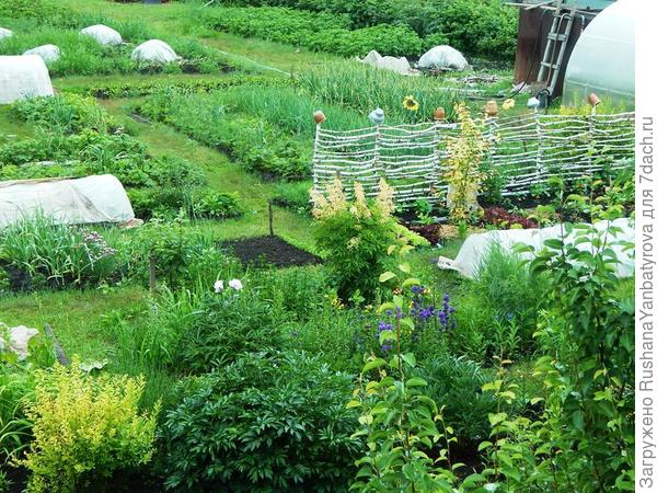 Грустно я смотрю в окно: мокро, холодно, серО...