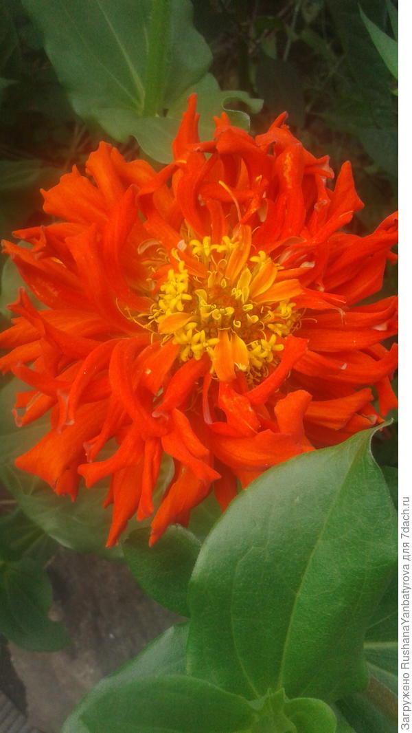 И много радости!