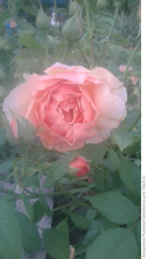 Счастья и удач!