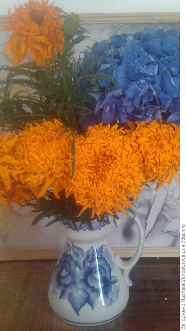 Поздравляю!