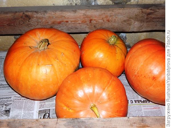 Ждут очереди ехать в город.