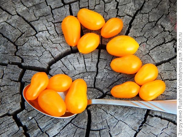 Грушки-игрушки!