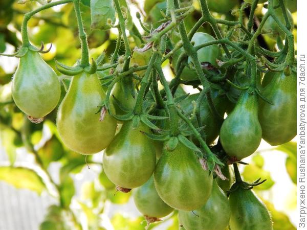 Сегодня сняла.