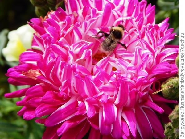 И побольше ярких красок!