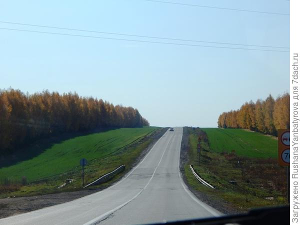 Едем по &amp;quot;золотому&amp;quot; коридору из берез.