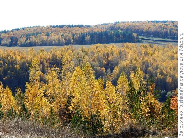 Картины осени!