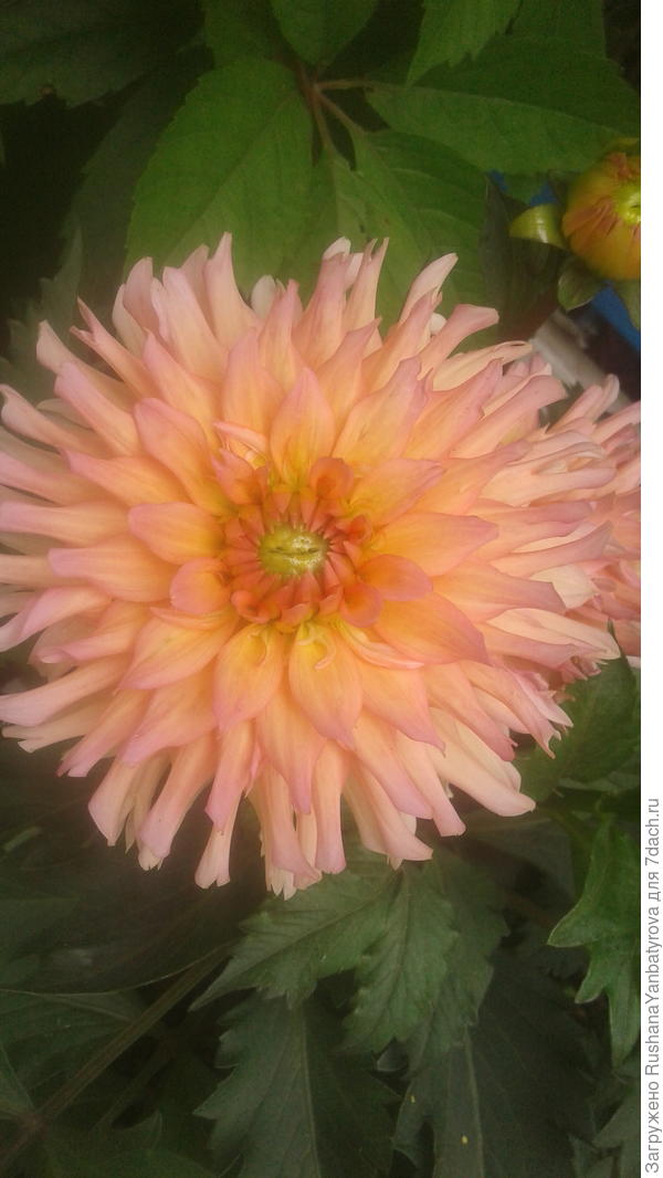 Будьте удачливы!