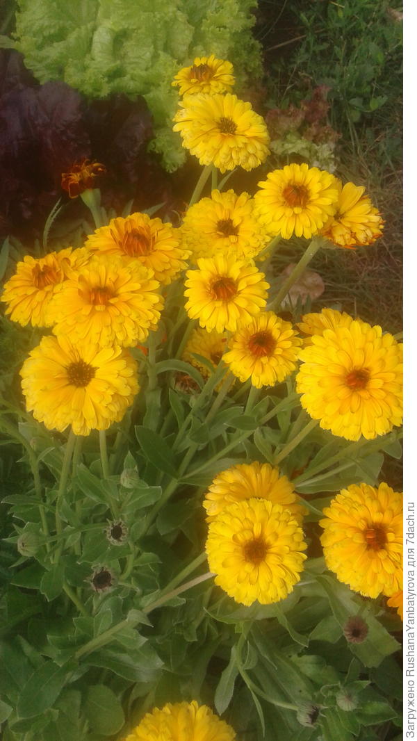 И солнышка теплого!