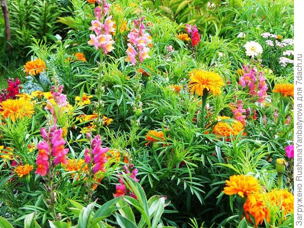 вот еще сочетание.