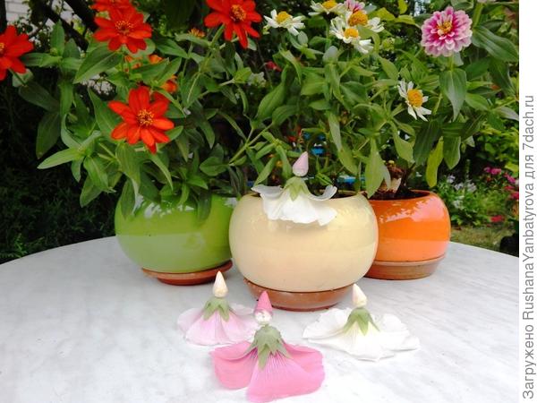 Напоминание о лете!