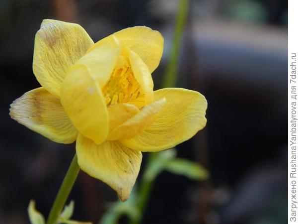 Такой трогательный!