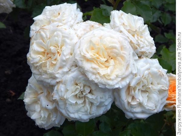 Поздравляю!