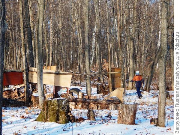 Мальчишкам хочется полазать в дебрях.