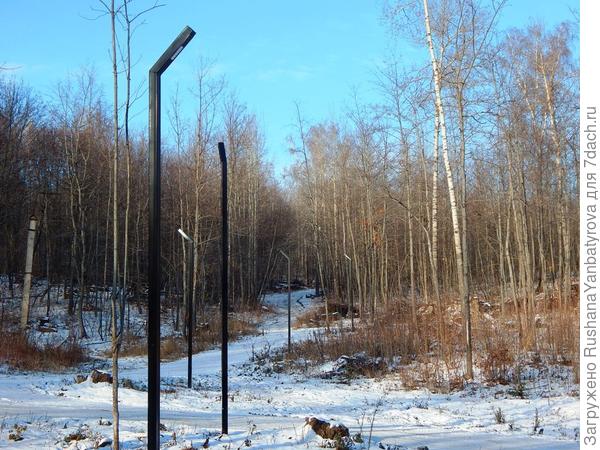 Во все стороны от парковой части вверх, в лес, уходят пешеходные тропы и лыжни.