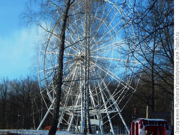 Колосо