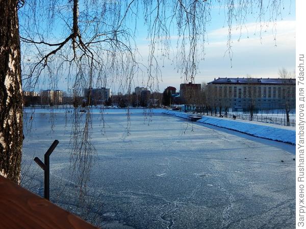 Глянем с площадки на первый пруд.