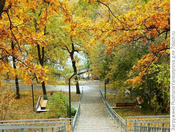 Лестница с ротонды.