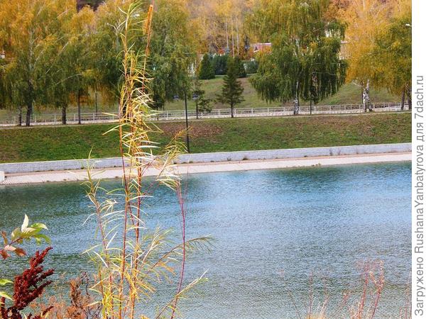 Второй пруд. За дорогой лесопарк.