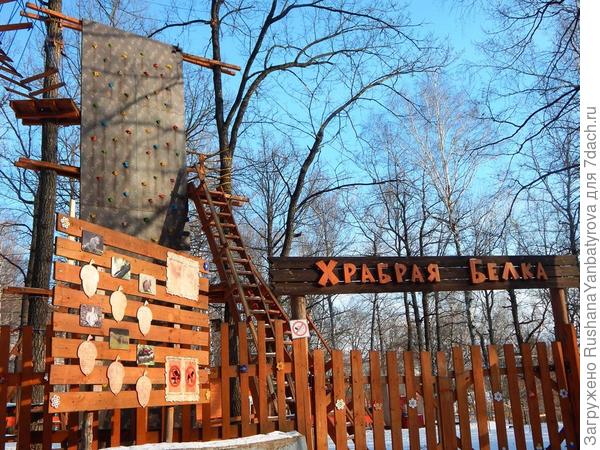 Храбрая белка.
