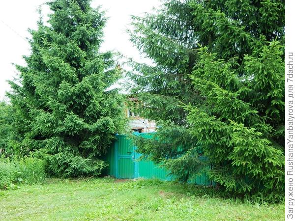 От родника до деревни и наших ворот рукой подать.