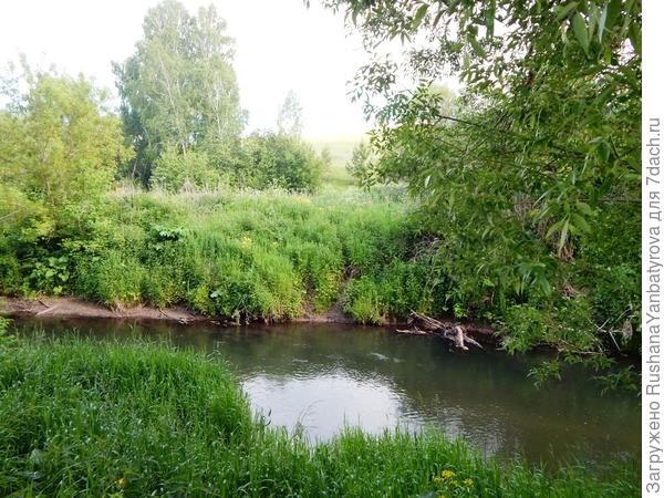 Речка за огородом.