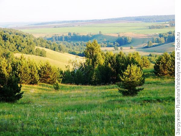 Кинем взгляд в другую сторону...