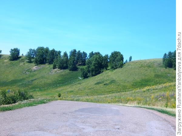 У берез наше песенное место.