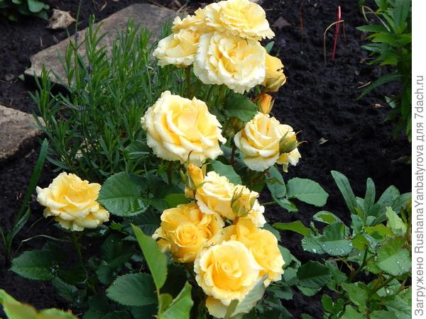 Поздравляю!