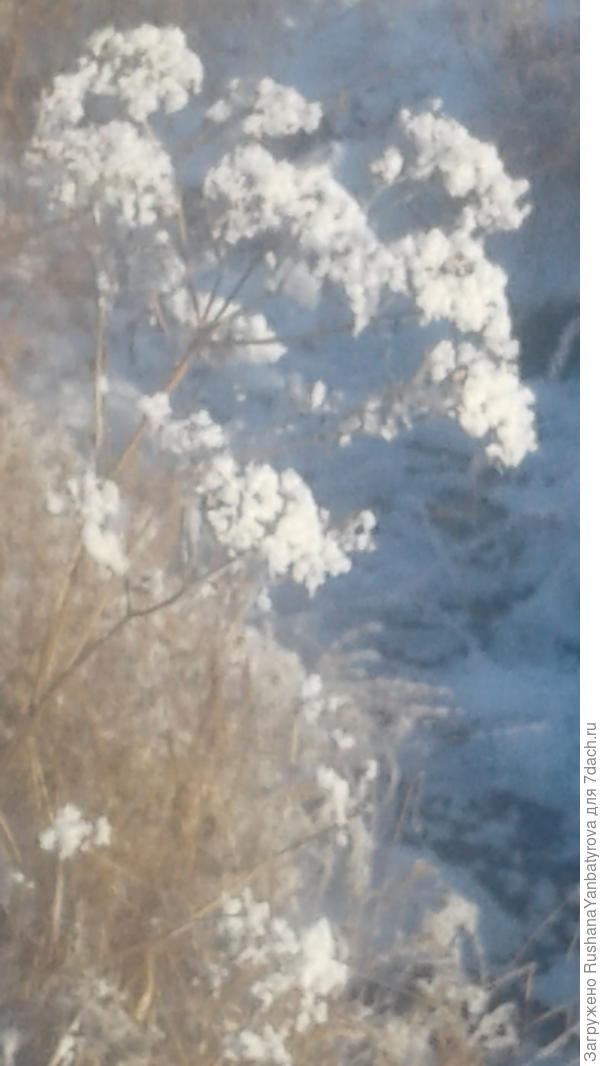 Обожаю всякие зонтики зимой!