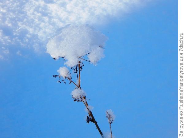 Люблю зимою зонтики!