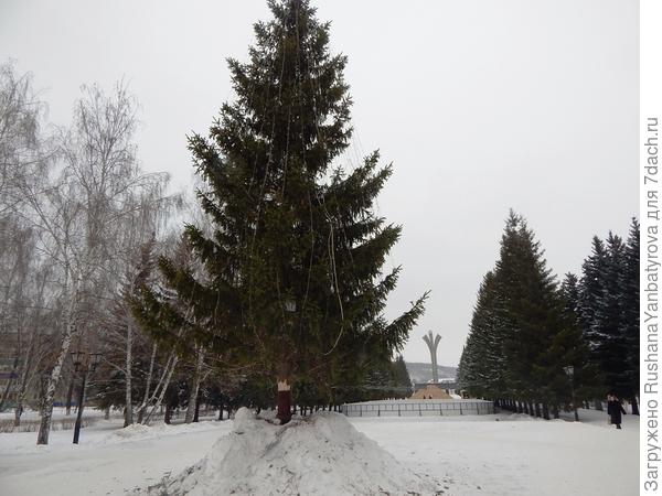 Елку, каток и горку нынче ставят у монумента Фонтан нефти, а не на площади.