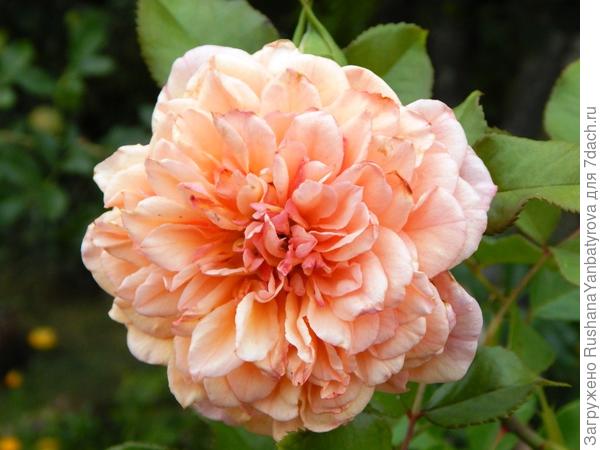 Поздравляю!