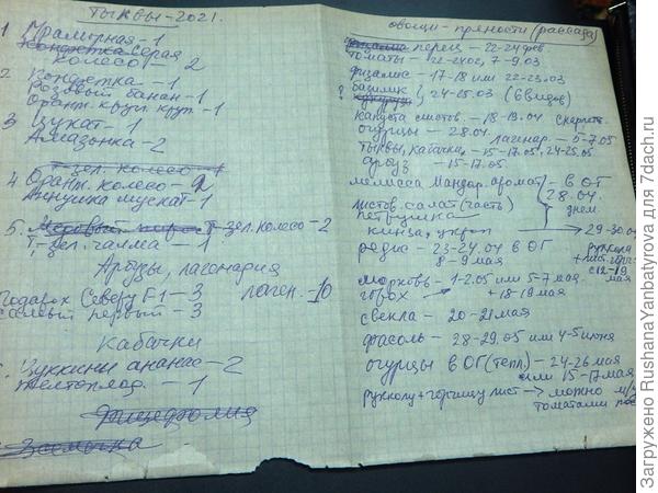 "Бахчевые" планы.