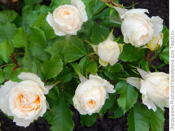 Всего тебе доброго!