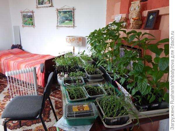 А тут уже большая часть в дачный дом переехала.