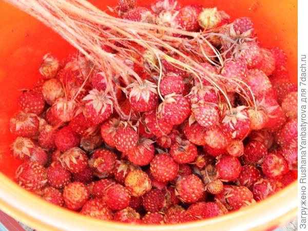 Ирине х + 5, значит, &amp;quot;ягодка&amp;quot; опять!