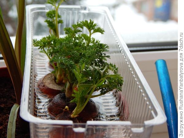 А вот ещё витамины.