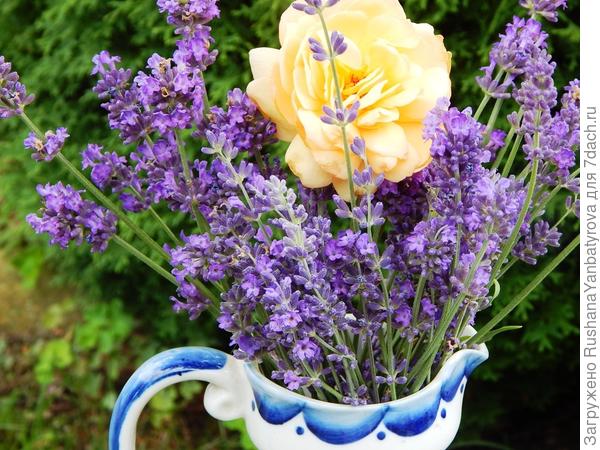 это французская