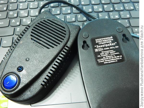 Вот они. на неделе будет ниже 30 градусов, так привезла опять.