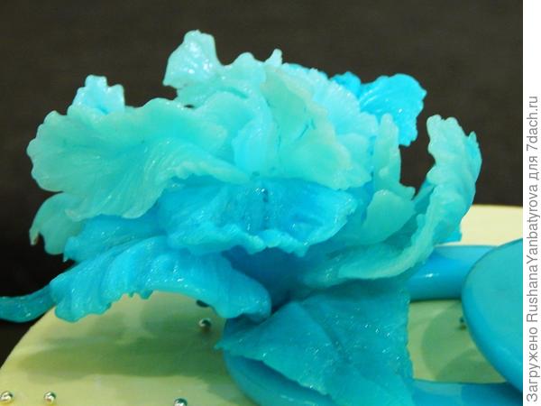 Торт для тебя.