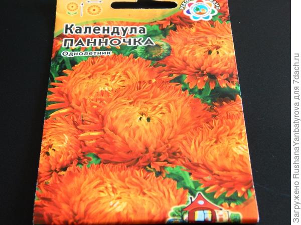 Прямо как астрочки!