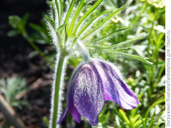 Будь счастлива!