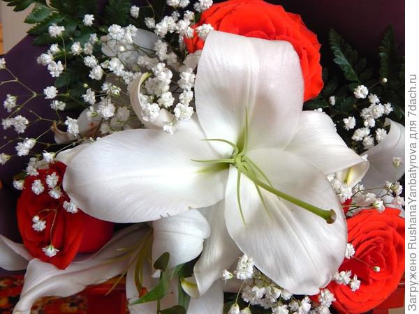 С Днем рождения,Таня!