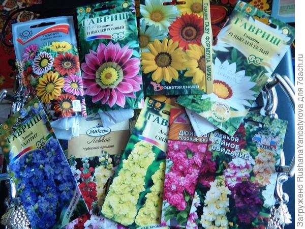 Семена на этот сезон.