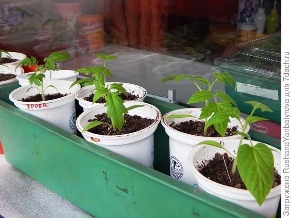 Мартовские. Твои еще меньше?